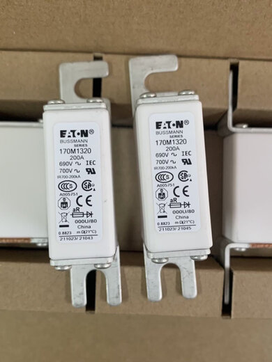 Basman fast fuse 170m1316 1317 1318 1319 1320 1321 1322 now 170M1318