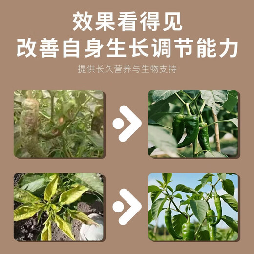 Hejiangnan Pepper Planting Specially Improved Soil Fertile Soil Fast Absorption Insect Control Pepper Base Fertilizer 2 Big Bags Continuous Disease Clearance