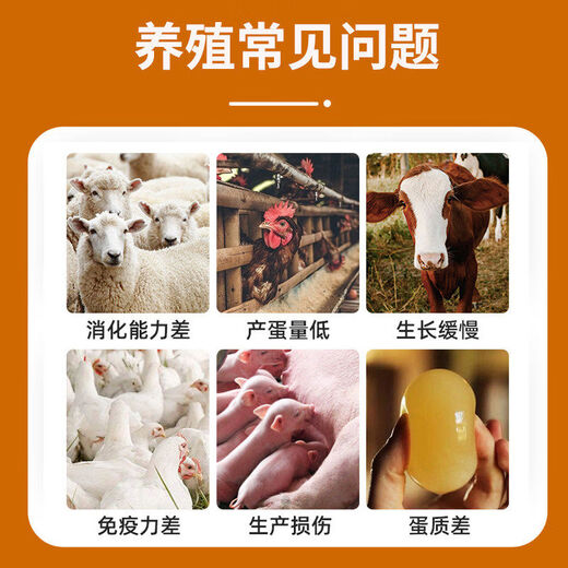 Golden Phoenix veterinary vitamin ADE electrolytic multi-dimensional mineral-filled feed additive for laying hens, ducks, geese and pigs 1 bag can only be mixed with ingredients