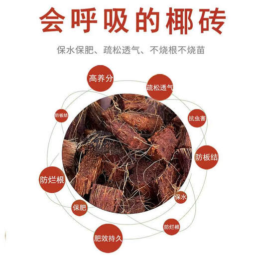 Coarse coconut shell bricks, special nutritious soil for orchids, Phalaenopsis plant material, succulent soil flowers, Clivia, coconut bran, desalted coconut bricks, golden combination, 4 pieces of coarse coconut shell bricks + 5 Jin Jin equal to 0.5 kg of sheep manure