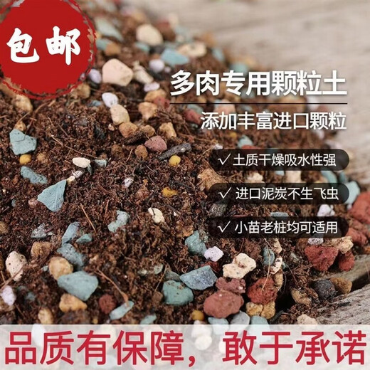 Succulent soil granular soil special nutritional soil succulent plant planting paving stone leaves inserted imported peat flower soil selected volcanic stone 5Jin Jin equal to 0.5 kg plant partner