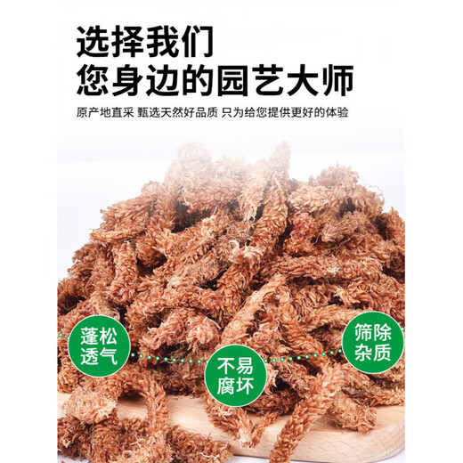 Chilean imported sphagnum moss, red grass caterpillar, sphagnum moss, phalaenopsis orchid, special soil plant, turtle hibernation and moisturizing, limited to one purchase, 1 pack of Chilean sphagnum moss, about 200g (free 1 bottle of Lanling King worth 9.9)