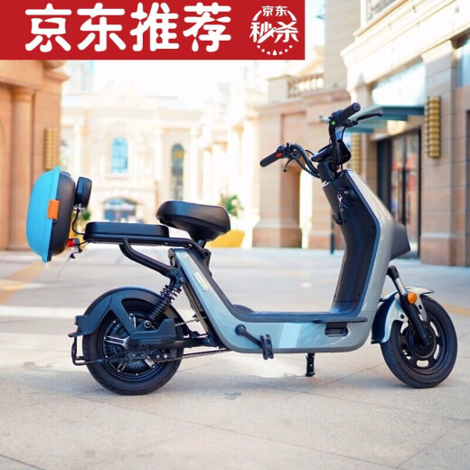 适用于电动自行车后备箱 电动车后备箱尾箱储物箱雅迪爱玛 L9928磨砂白色普通款