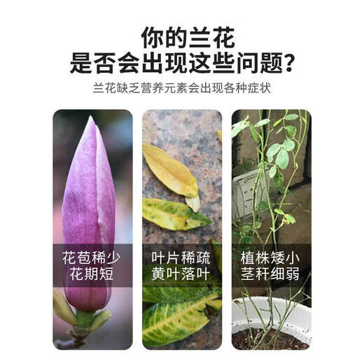 Coarse coconut shell bricks, special nutritious soil for orchids, Phalaenopsis plant material, succulent soil flowers, Clivia, coconut bran, desalted coconut bricks, golden combination, 4 pieces of coarse coconut shell bricks + 5 Jin Jin equal to 0.5 kg of sheep manure