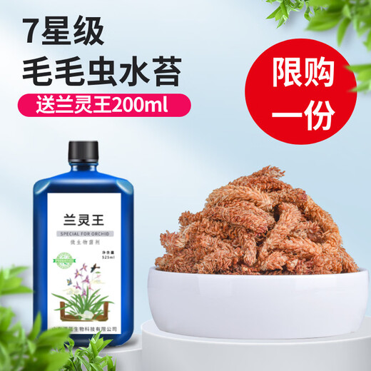 Chilean imported sphagnum moss, red grass caterpillar, sphagnum moss, phalaenopsis orchid, special soil plant, turtle hibernation and moisturizing, limited to one purchase, 1 pack of Chilean sphagnum moss, about 200g (free 1 bottle of Lanling King worth 9.9)