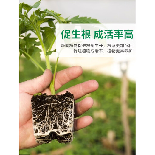 Humus soil, decomposed clivia, special humus soil, nutrient soil, planting soil, oak, oak leaf, orchid bonsai, acidic, exclusive light luxury version, refined orchid soil 24 liters