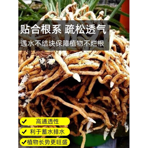 Humus soil, decomposed clivia, special humus soil, nutrient soil, planting soil, oak, oak leaf, orchid bonsai, acidic, exclusive light luxury version, refined orchid soil 24 liters