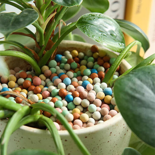 Colored ceramsite bottom ceramsite soil for flower cultivation, special filter flower pot, fish tank bottom sand, hydroponic small ceramsite pavement for gardening, diameter 5-6mm, red solid ceramsite 3Jin Jin is equal to 0.5kg