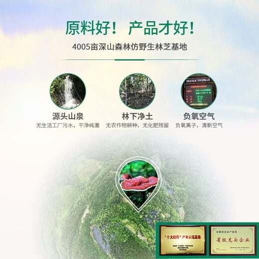 
Huangshan Yunletoudao Deep Mountain Organic Ganoderma lucidum Spore Powder Imitation Wild Ganoderma lucidum Spore Powder