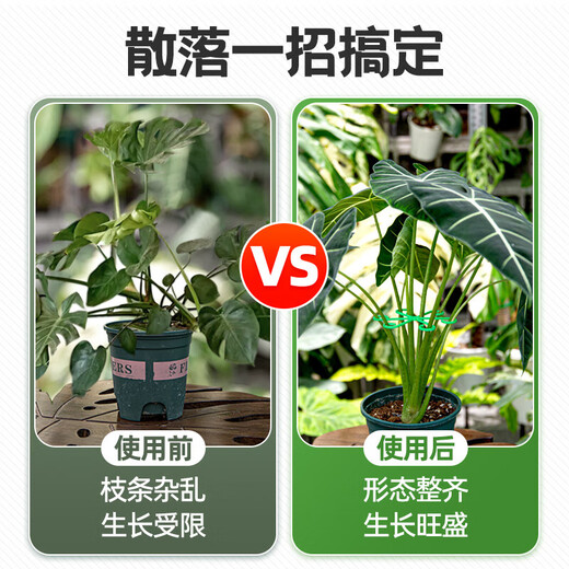 Monstera Pflanzenträger Pole Blume Phalaenopsis Fixed Green Plant Anti-Lost Gartenblütenstillkollektor [1 Set] einschließlich vier Größen