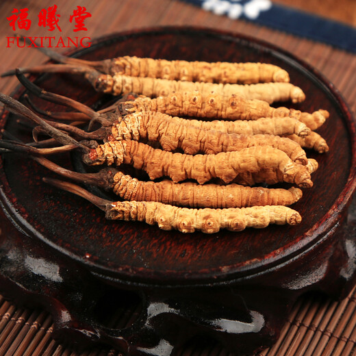 Fuxitang Tíbet Nagqu Cordyceps Cordyceps Precio de gran altitud de 1 Cordyceps Cordyceps 4 raíces/gramo de tamaño de 1 raíz