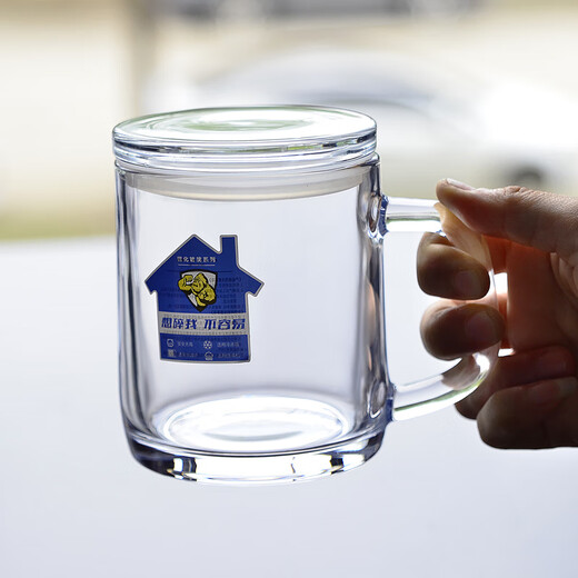 ClceySuperfest Anti-Fall Verre tasse en acier ménage Brewing Brewing Thé à grande capacité Bière Mil de petit déjeuner Masse de petit déjeuner + 365 ml Couvrette en verre 500 ml 2 pièces