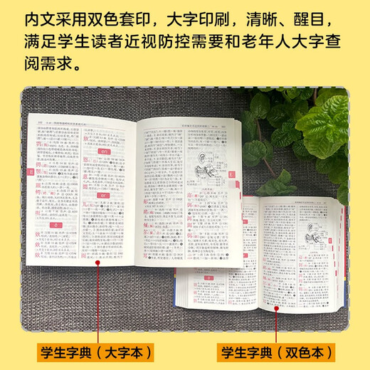 Student Dictionary (Large Character Edition)