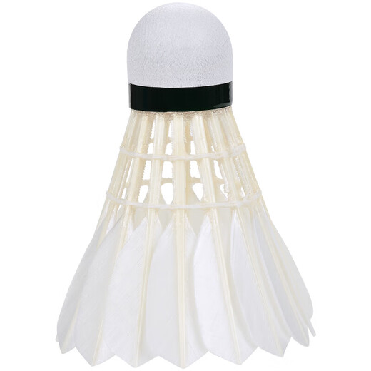 VICTOR Victory Badminton Durable and Stable Practice Ball LARK4 12 Pack