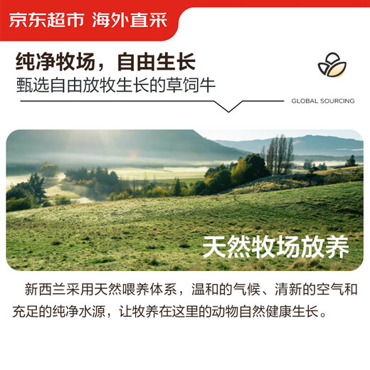 Jingdong supermarket directly imported raw cut beef tendon from overseas, net weight 2Jin Jin is equal to 0.5kg, refined and oil-free stewed stewed meat