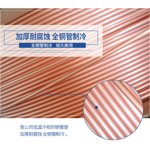 捷盛（JS）零下-40-60-86度卧式超低温冷柜金枪鱼海鲜低温冰柜 小型商用干冰家用冷冻工业 科研实验 速冻冰箱 208升（1050×670×795mm） -45度