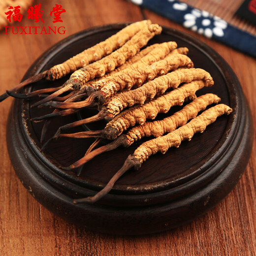 Fuxitang Tíbet Nagqu Cordyceps Cordyceps Precio de gran altitud de 1 Cordyceps Cordyceps 4 raíces/gramo de tamaño de 1 raíz