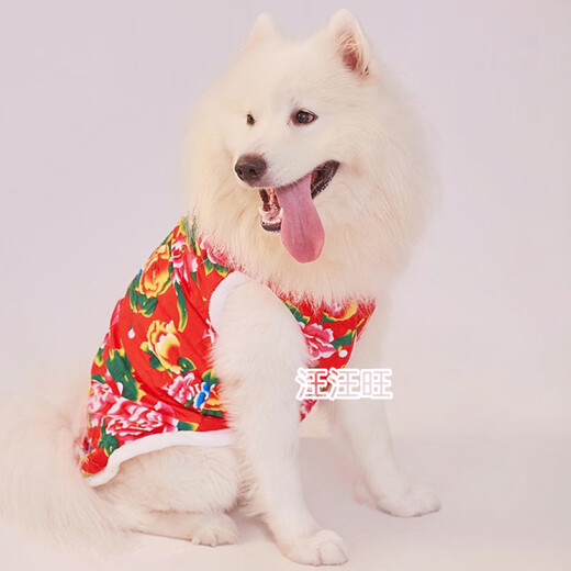 Haustierhundkleidung im Herbst und Winter neuer Stil plus samtig dicke Blumenjacke, um Neujahrsgrüße zu begrüßen, rote Blumenjacke [VL + Traktionsschnalle] 7xl [vorgeschlagen 6172jin [Jin ist 0,5 kg]]