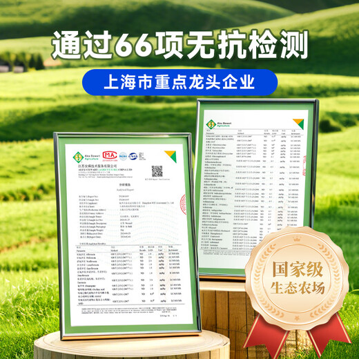 Pig Funon wird frisch getötet. Schweinbauch 450G-550G*2. 2. Insgesamt 2 wurden direkt von Chongming Island geschickt.