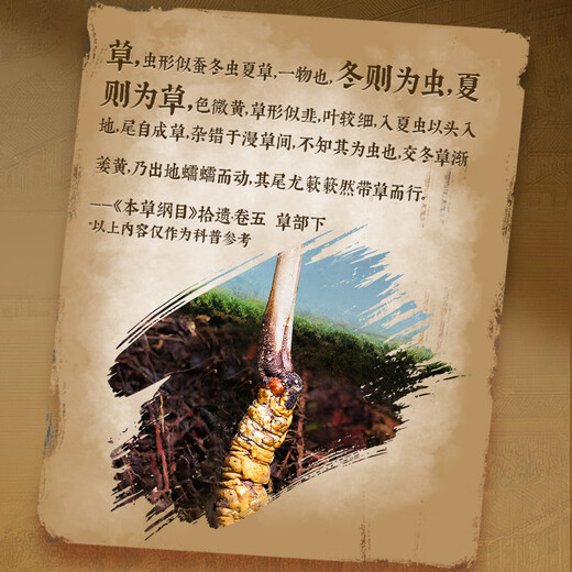 
Lei Yunshang [Official] [Naru Qu, Tibet] Cordyceps gift box for gifts for elders health gift box exquisite gift box - Grade A 4 sticks/g 10g about 40 sticks