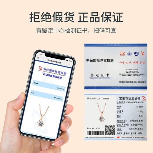 Grace Girl One Carat Moissanite Necklace Women's Collarbone Chain Snowflake Pendant Chinese Valentine's Day Birthday Gift for Girlfriend