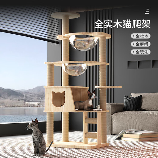 Pet Beya Pet Beya Cat Climbing Frame Cat Nest Cat Tree All-in-One All Solid Wood Does Not Take Up Small Cat Shelf Space Capsule Large Household Solid Wood Column Z1