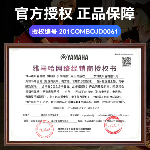 Yamaha Drum Stage Custom Custom Professional Professional Professional Profession