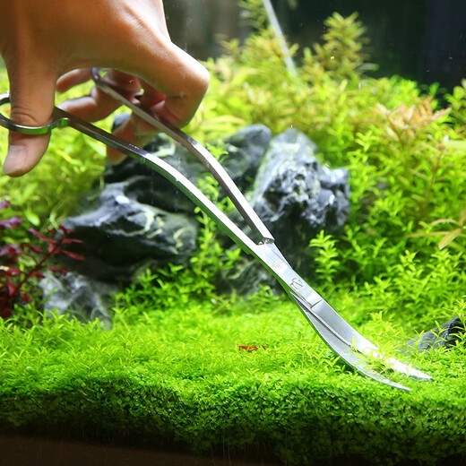 Crazy Water Grass (FKSC) FKSC Water Grass Clip Scissors Scrapers Flat Sand Scraper Fish Tank Supplies Maintenance Tool Landscaping Tool Maintenance Package 2