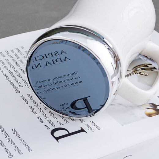 Baolong Lizhen Ceramic Creative Water Cup Large Capacity Covered Spoon Office Use Couple Cup Home Coffee Tea Cup Practical and Fashionable Drinking Style Mirror Cup + Cover