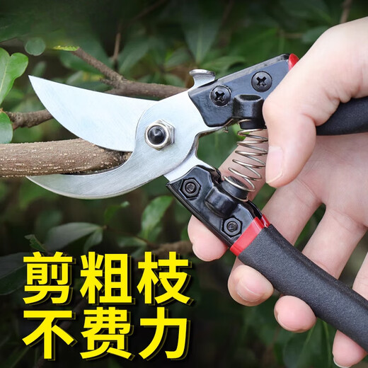 Trimming branches, scissors, powerful thick branches, shears, labor-saving household SK5 steel gardening scissors, fruit tree tools, scissors, 14116 stainless steel pruning shears + black speed saw