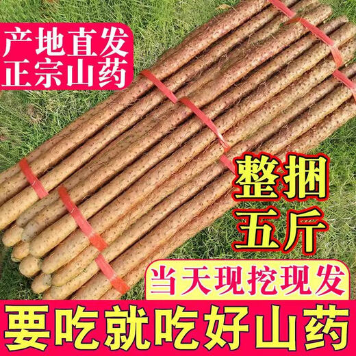 Authentic Henan Jiaozuo Wenxian loam soil iron rod iron rod Huaishan Huaiyam fresh 5 Jin Jin equals 0.5 kg Specialty whole box quasi-tiegui 5 Jin Jin equals 0.5 kg Best-selling large fruit length is about 50