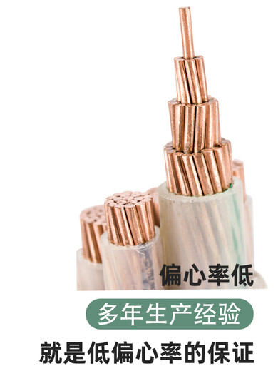 正泰（CHNT）正泰ZRYJV电缆线国标铜芯345芯507095120平方工程电力电缆 3x3001x15099点99无氧铜