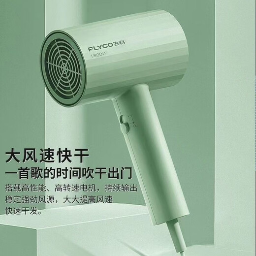 飞科（FLYCO）吹风机家用大功率负离子护发恒温速干FH6296便携宿舍学生用冷热风过热保护大风力电吹风筒配集风嘴 飞科吹风机FH6296+置物支架