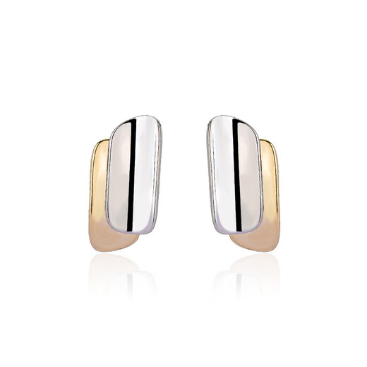 Qlady niche unique earrings for women 2025 new temperament high-end earrings for women silver needle light luxury earrings birthday gift