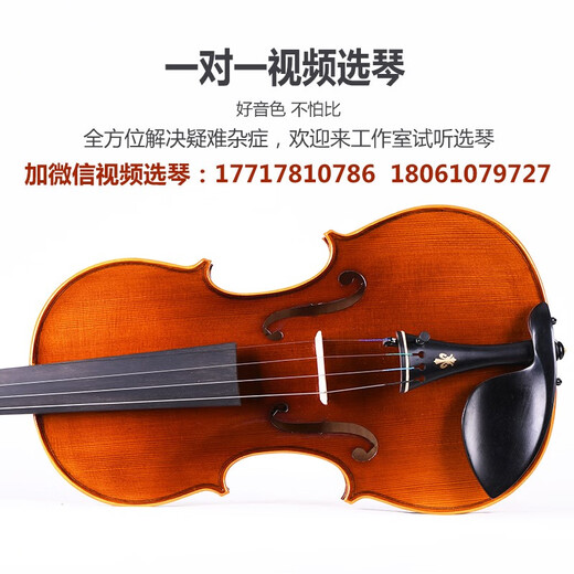 Taishu TV-010 Importé European Handmade Violin Professionnel Pure Enfants faits à la main pour débutants jouant au violon 1/8 Dark Brown adapté à la hauteur 105-120cm