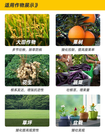 Chlormequat paclobutrazol special multi-effect strawberry farm store corn wheat pbo control agent growth regulator 5kg