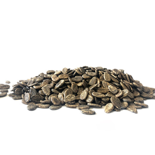 Zhongke Maohua Fruit and Vegetable Seeds Authentic Xinong No. 8 Watermelon Seeds Hybrid Large Fruit Type Red Flesh Northwest Agricultural University Xinong No. 8 Stable Production Base Planting Authentic Xinong No. 8 50g/box Thick Box