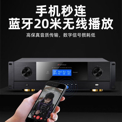 Shanshui (Sansui) F20 Home KTV Audio Set Home Karaoke Song Order Machine All-in-One Set Audio Karaoke Karaoke Jukebox Home Theatre Singing Home Full Set Audio 2 * Double 10 pouces + amplificateur haute puissance + 20 pouces 2t Machine de commande de chanson 2T