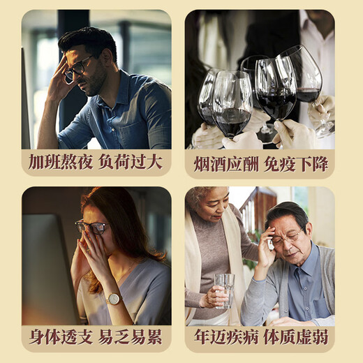 却老斋牌 有机破壁灵芝孢子粉 高三萜12g中老年营养保健品增强免疫力 孢子粉100g*6盒【300天量】