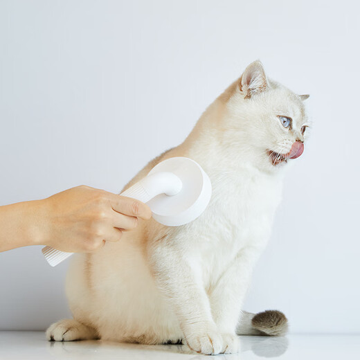 Small pin comb hair removal comb dog hair cat hair cleaner dog hair brush pet cleaner white