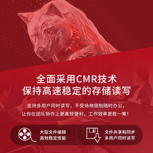 Seagate (SEAGATE) NAS hard drive 16TB 256MB mechanical hard drive CMR vertical silent and low consumption data recovery service 3.5 inches Seagate Coolwolf ST16000VN001