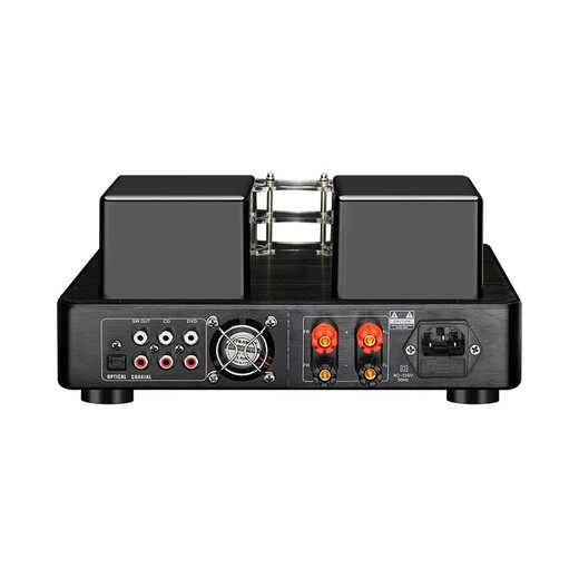 Pure age gill amplifier HIFI fever grade household Bluetooth high-fidelity front gallbladder rear stone high-power double-ring cattle gill amplifier PMA-655 gill amplifier