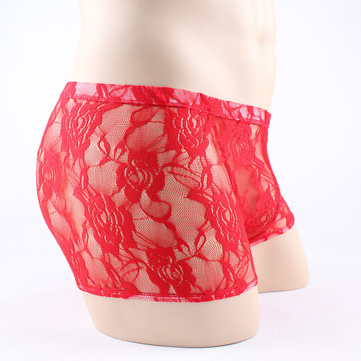 Men's Sexy Underwear Thin Transparent Lace Sexy Underwear See-through Boxer Briefs Men's Shorts One Size Red