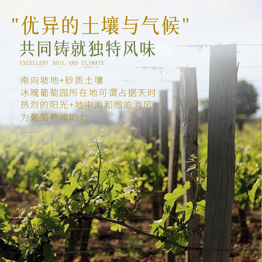 Lamontane imported semi-sweet white wine for women with a slightly intoxicating good night wine box imported 187ML*6
