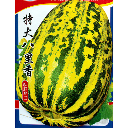 Farmer's Son Balixiang Melon Seeds Spotted Skin Melon Seeds Winter and Spring Extra Large Balixiang Muskmelon Seeds About 30 Pieces/Large