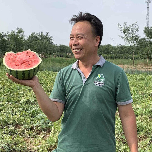 Zhongke Maohua melon and fruit seeds Zhongke Bingqilin watermelon seed improved 8424 Jingxin type replaces Meidu watermelon variety with crack resistance Zhongke Bingqilin 50 capsules/bag trial planting pack