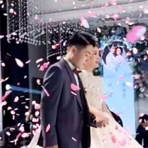 [8000 pieces of wedding hot products] Fireworks and wedding petals rain Wedding cannons handheld color cannons fireworks and flower 72cm [Pink rose] Petals [1]
