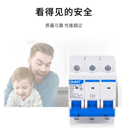 CHNT (CHNT) изолирующий переключатель nxhb-12532a малый 3p4p63a100a нож.