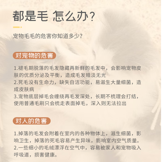 Pet Star Notes Pet Comb Stainless Steel Row Comb Dog Cat Beauty Single Row Density Comb Needle Comb Opening Comb Small Size 19*3cm