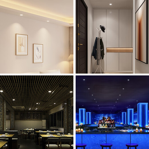 Fanyao LED small downlight 40-65mm opening wine cabinet hole light cob anti-glare embedded main light 5w-white light